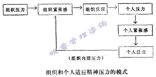 組織和個人適應精神壓力的模式